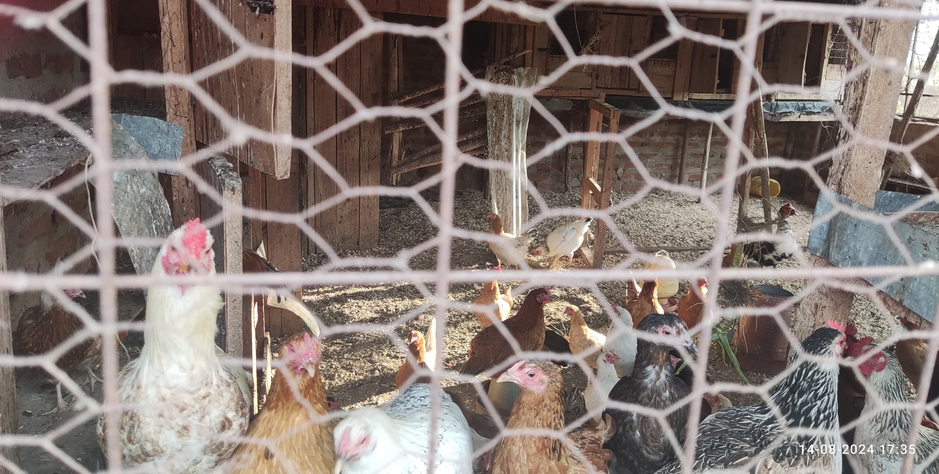 Economic Empowerment